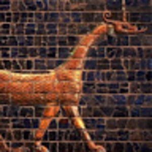 Meet your Posher, Bruce